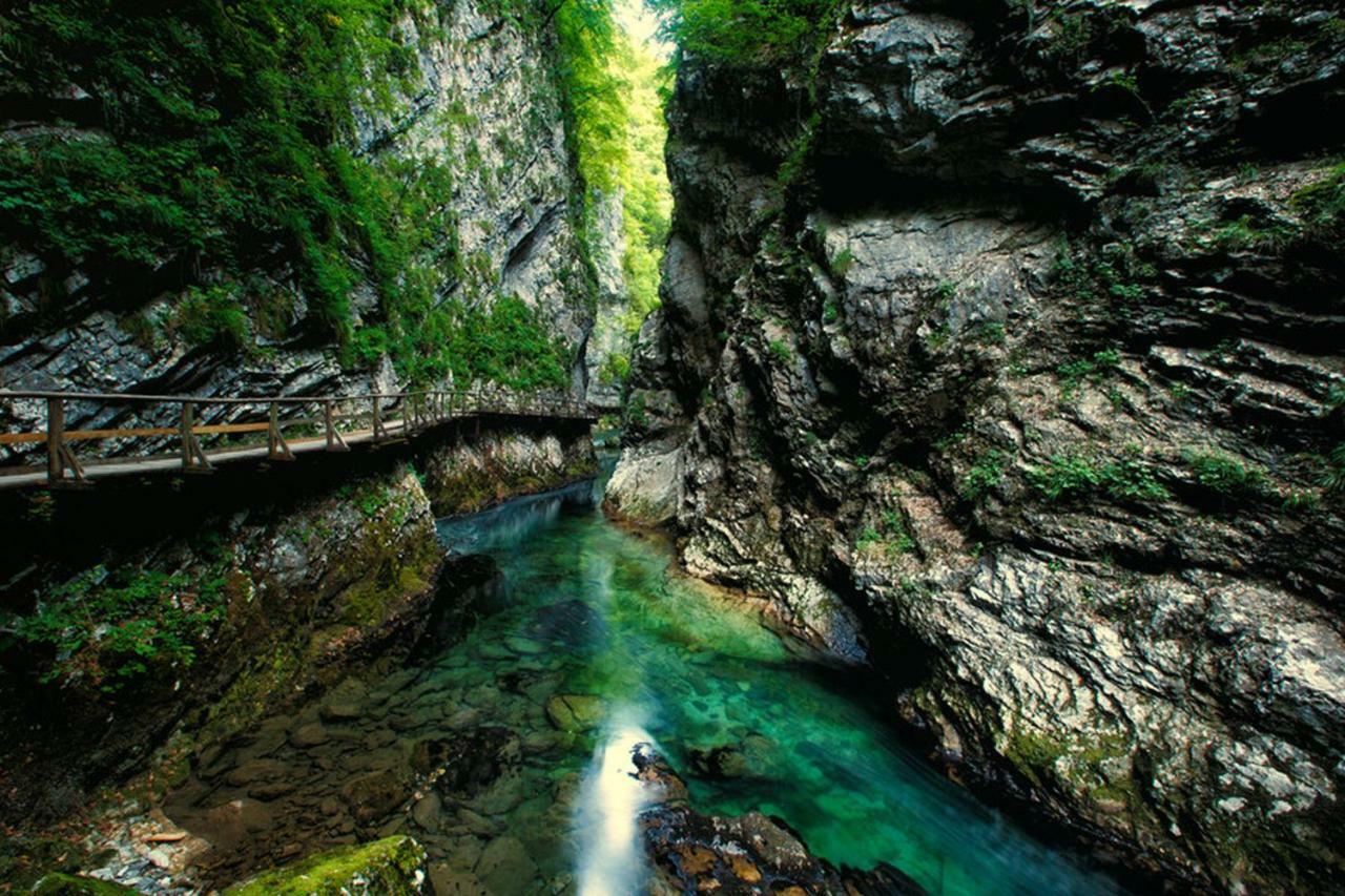 Bled Paradise Apartments Bagian luar foto
